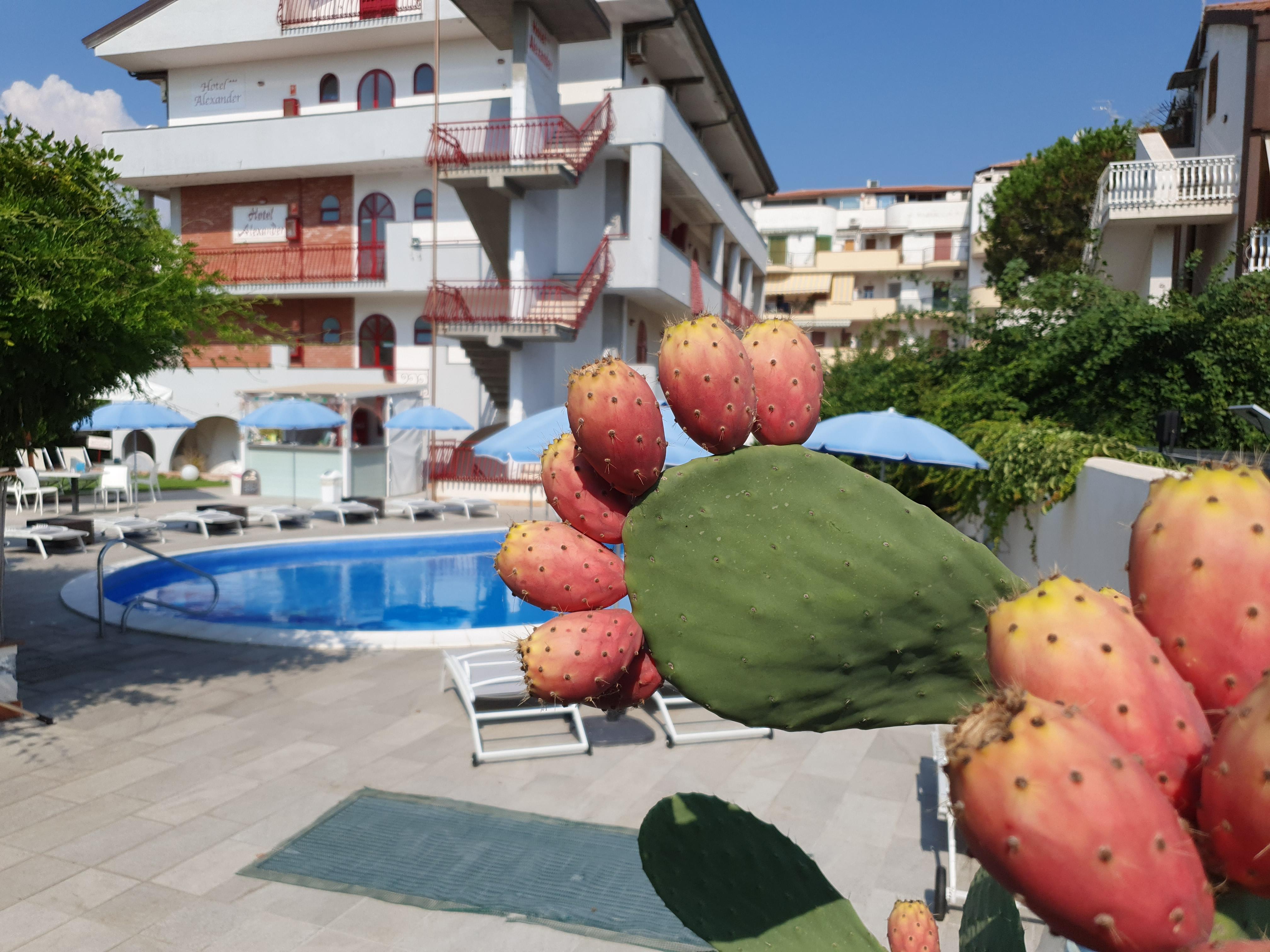 Hotel Alexander Giardini Naxos Esterno foto